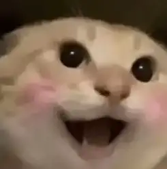 哈基米