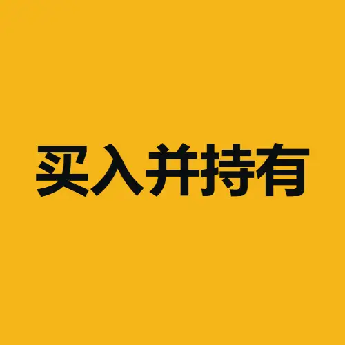 买入并持有