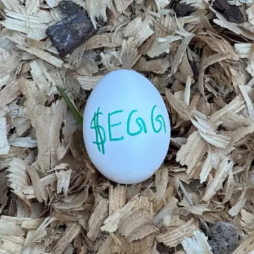 egg
