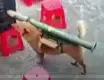 火箭狗
