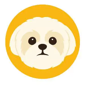 Shih