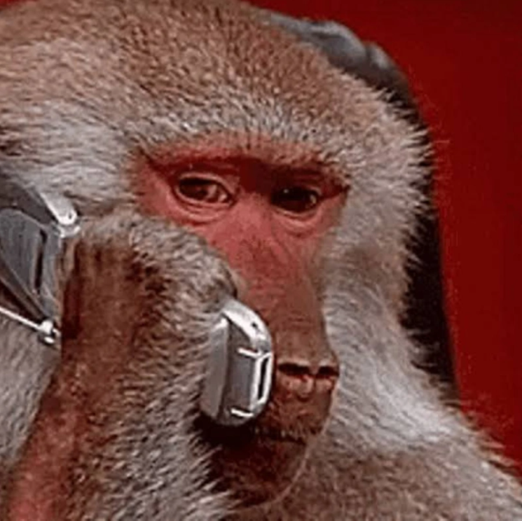 MONKEPHONE